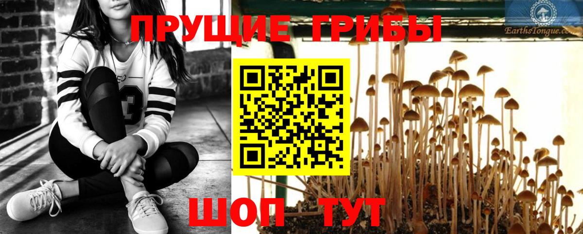 Псилоцибиновые грибы GOLDEN TEACHER Среднеуральск